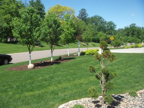 Wolf Landscaping Minnesota, Wolf Landscaping Lakeville Mn